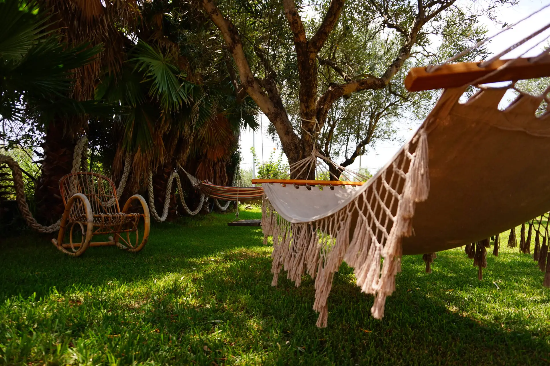 B&B Villa del Sole - B&B a Gizzeria - Giardino